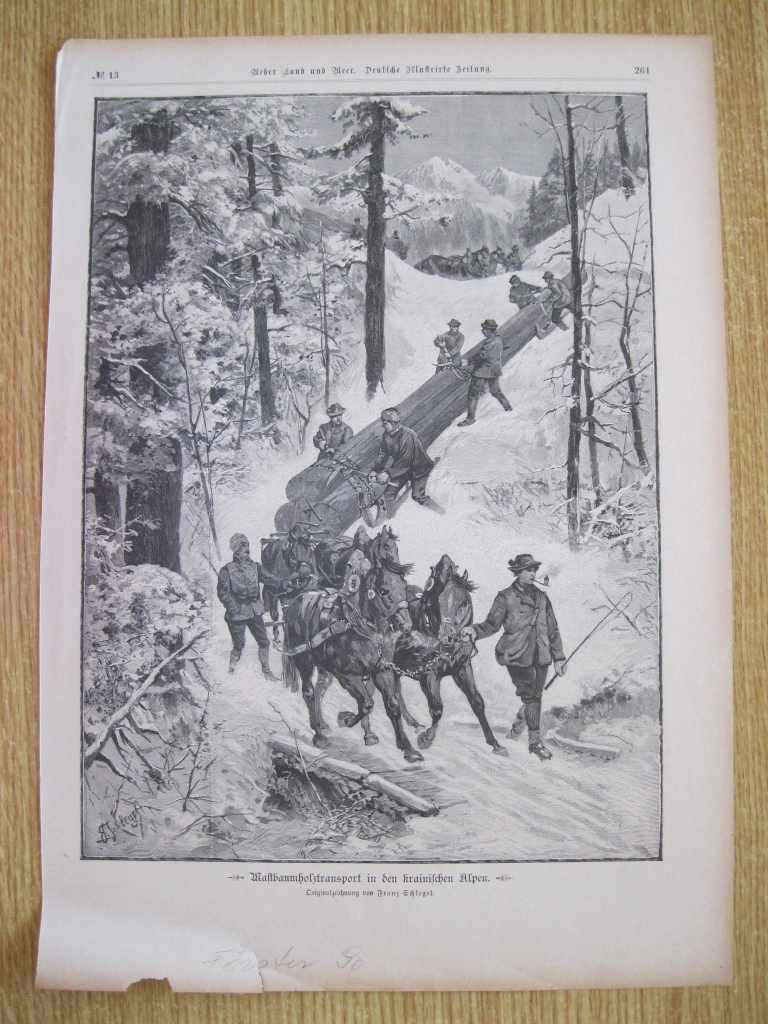 Transporte de madera por una montaña, 1890